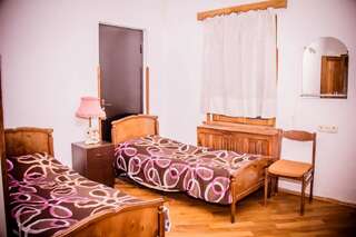 Гостевой дом Imeri Guest House Кутаиси Двухместный номер с 2 отдельными кроватями и собственной ванной комнатой-4